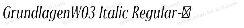 GrundlagenW03 Italic Regular字体转换